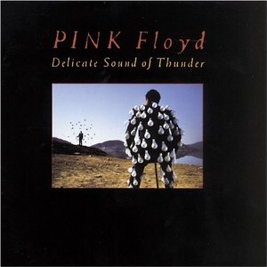 Pink Floyd Delicate Sound Of Thunder